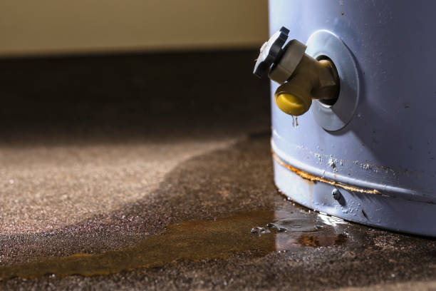 Best Water damage restoration experts  in Lucerne, CA