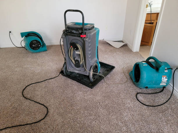 Best Water damage cleanup near me  in Lucerne, CA