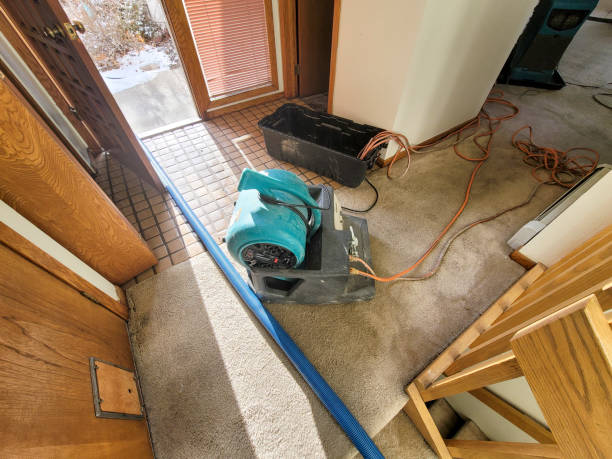 Best 24-hour water damage restoration  in Lucerne, CA