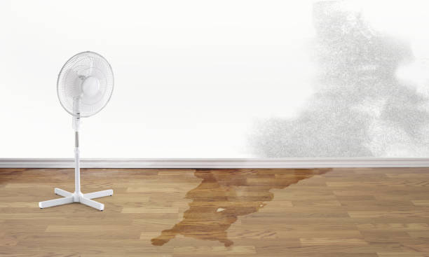 Best Sewage cleanup and water damage restoration  in Lucerne, CA