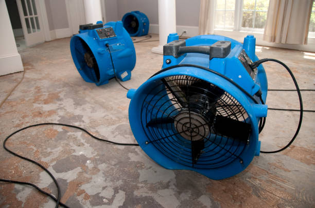 Best 24/7 water damage repair  in Lucerne, CA