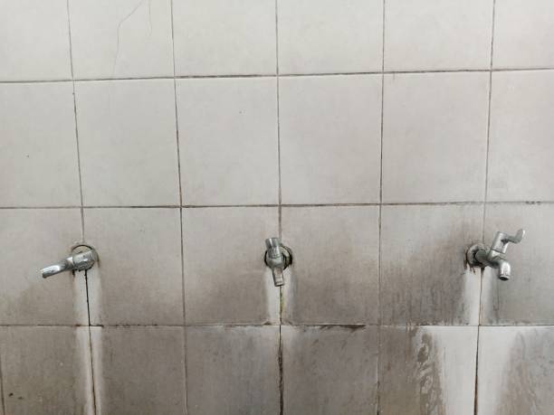 Best Water damage mitigation services  in Lucerne, CA