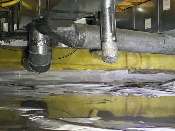 Best Flood damage cleanup  in Lucerne, CA