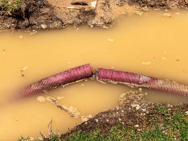 Best Emergency water damage restoration  in Lucerne, CA