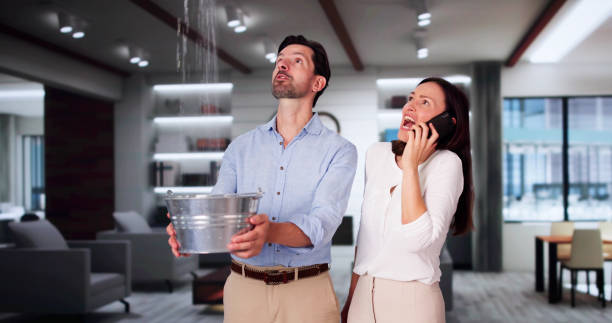 Best Ceiling water damage repair  in Lucerne, CA