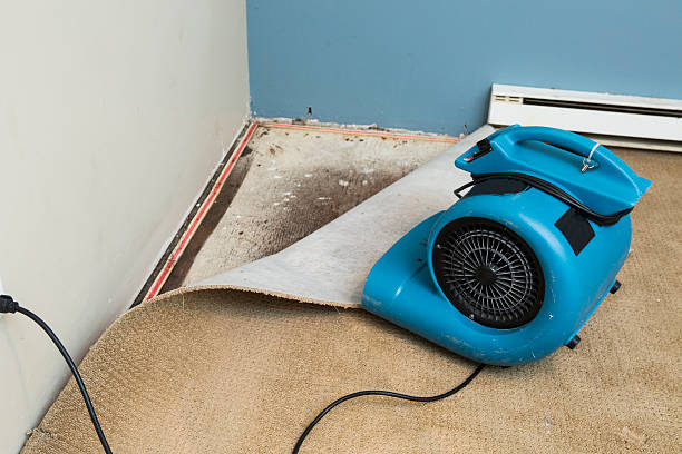 Best Professional water damage repair  in Lucerne, CA